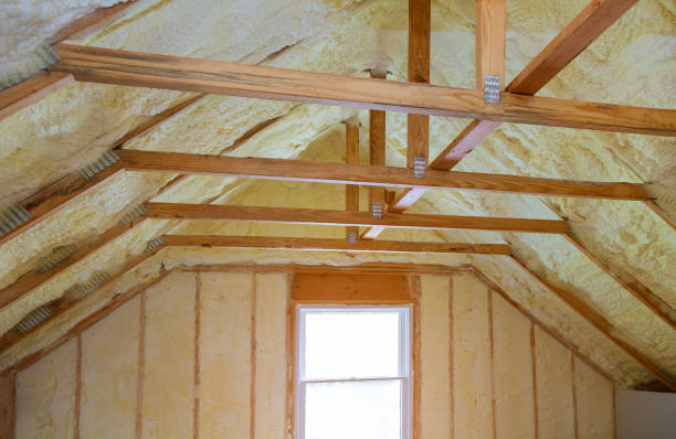 Best Eco-Friendly Insulation in Woody, WA