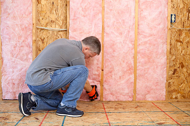 Best Specialized Insulation Services in Woody, WA