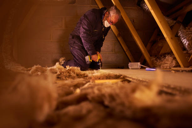 Types of Insulation We Offer in Woodway, WA